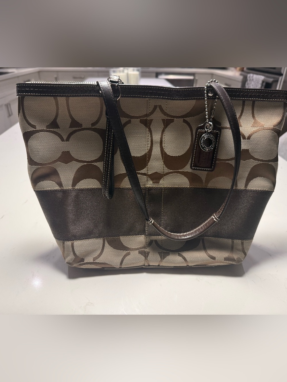 Coach Signature Canvas Tote in Brown and Tan